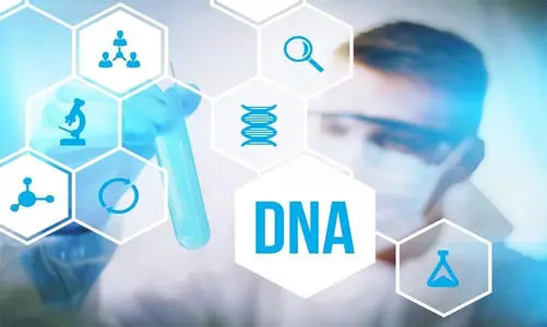 重庆DNA鉴定在哪里能办理,重庆亲子鉴定多少钱一次