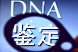 重庆正规的DNA鉴定机构地址，重庆亲子鉴定办理流程