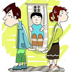 重庆想做个人亲子鉴定需要怎么做，重庆想办理个人亲子鉴定详细流程