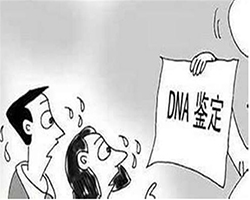 重庆一医院能办理血缘检测吗，重庆医院做DNA亲子鉴定办理流程指南